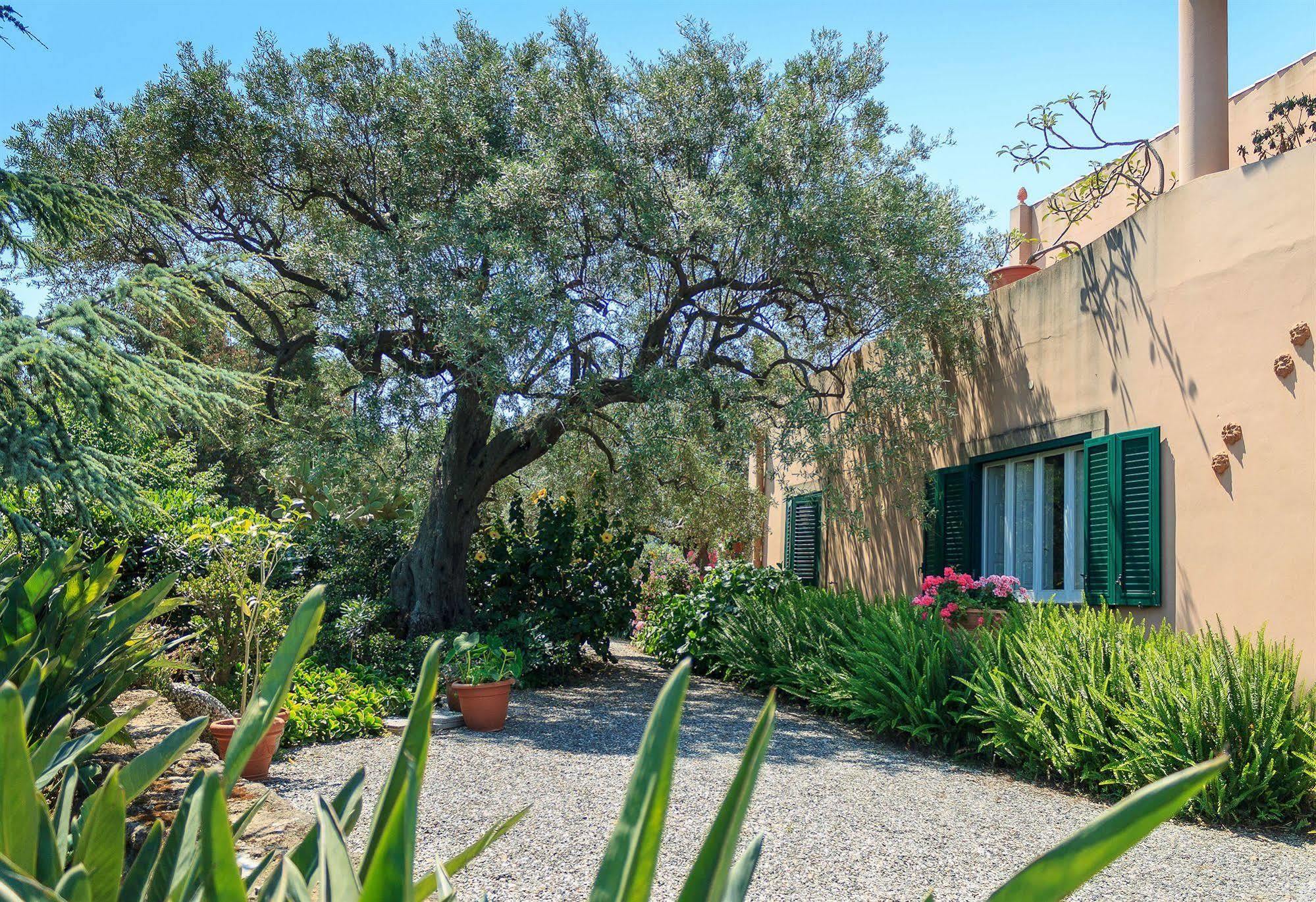 Don Gaspano Bed & Breakfast Pace Del Mela